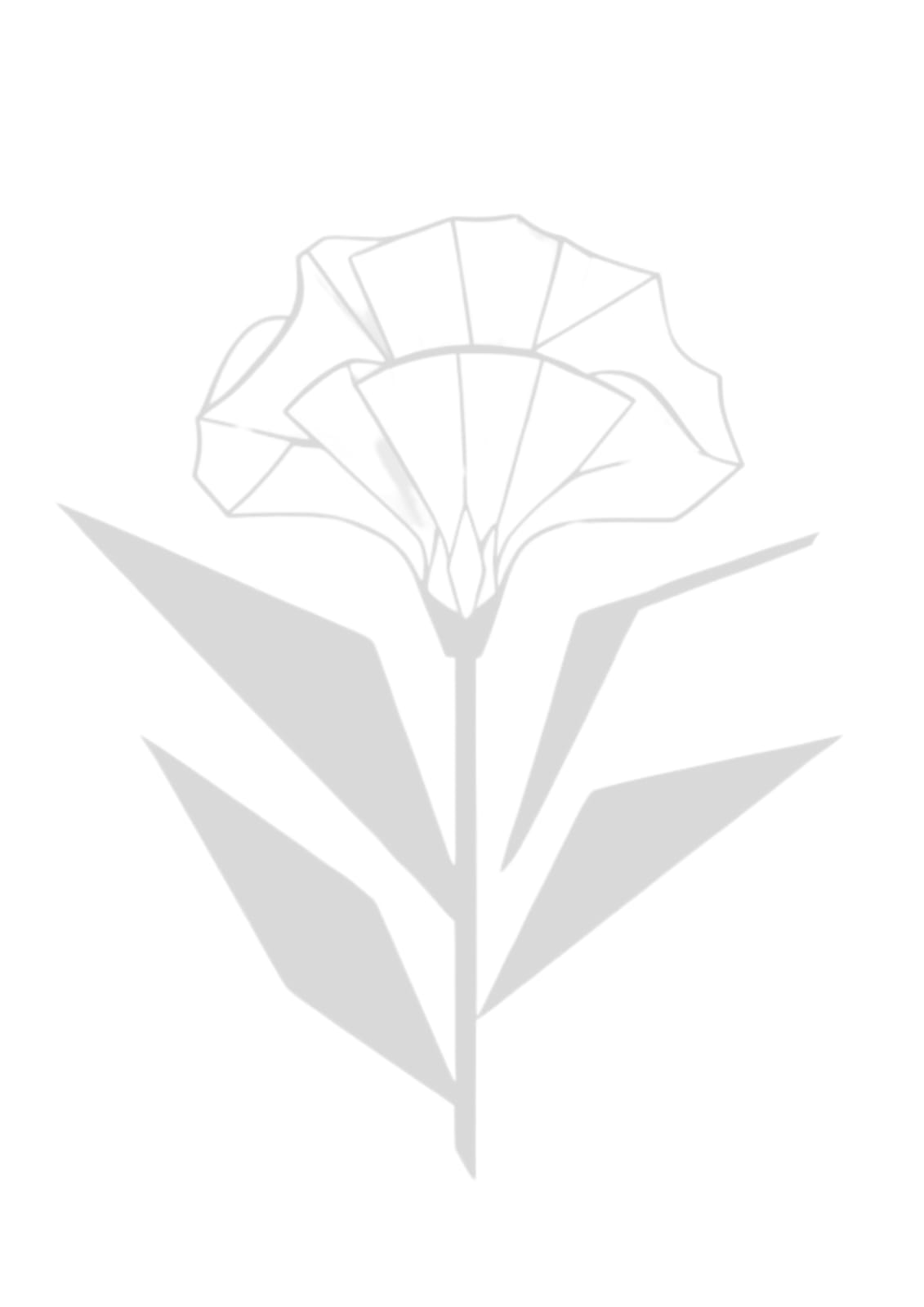 Fleur lys blanc