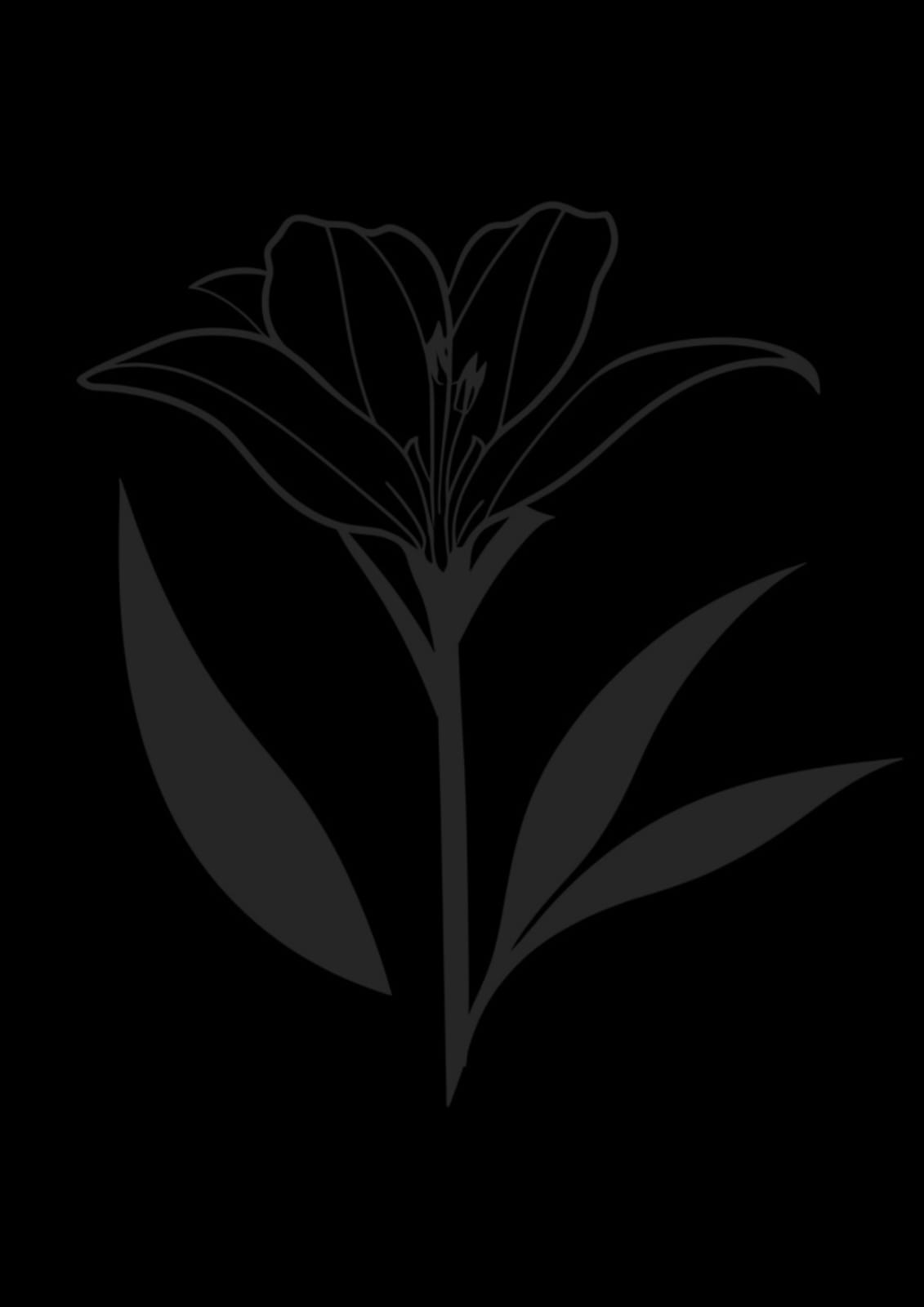 Fleur lys noir